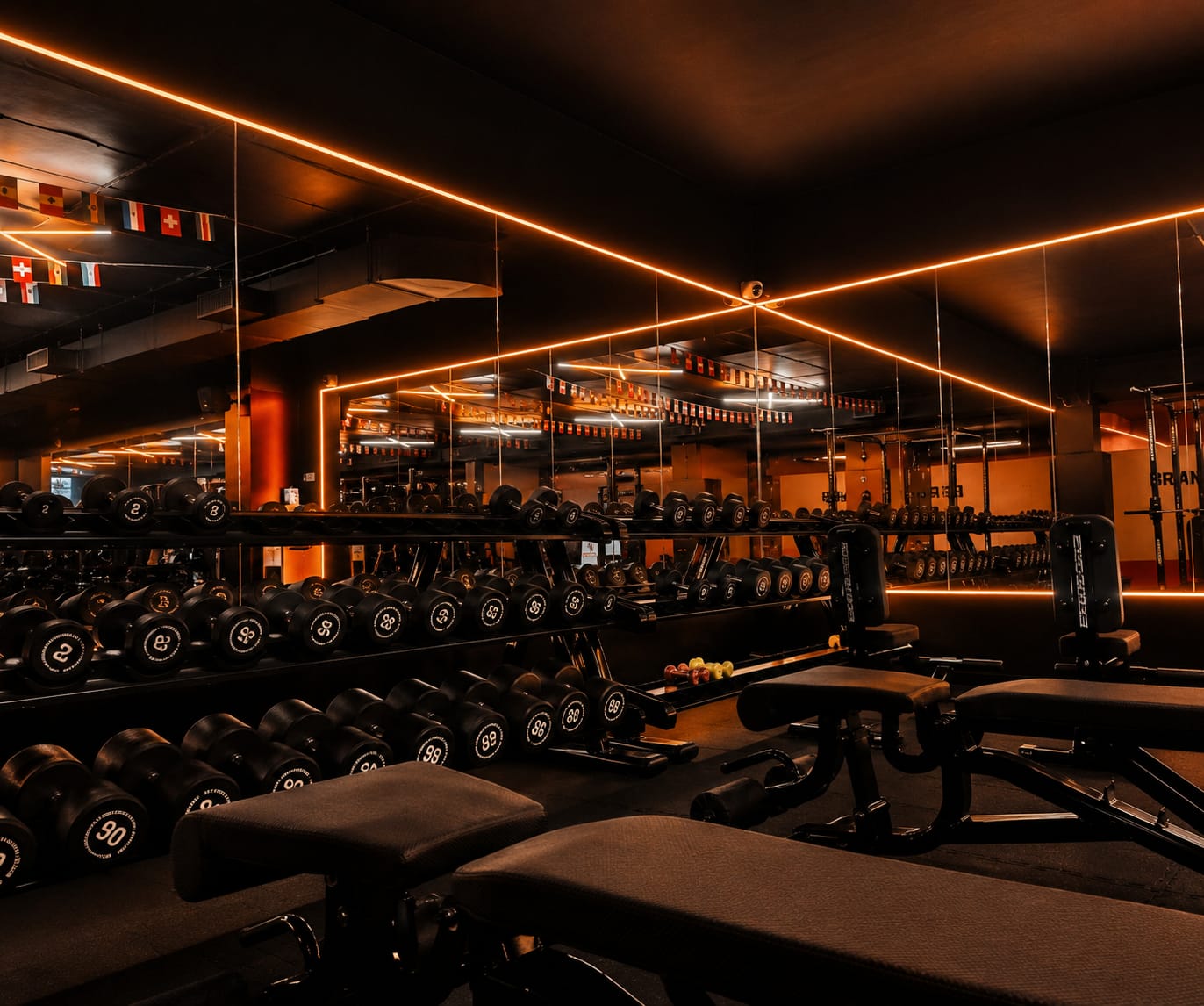 PRO 11 FITNESS Equipment